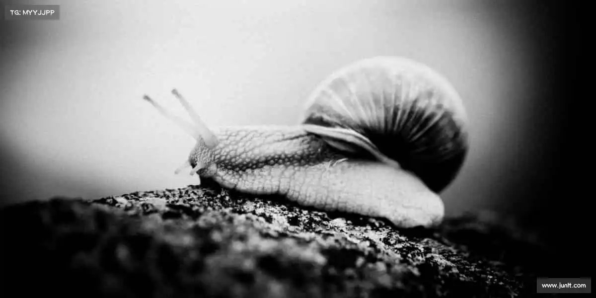 <strong>milan米兰</strong>💪汗水浇灌热爱，体育让生活充满「肌」情！